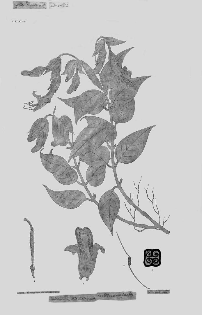 no HD illustration available (3)