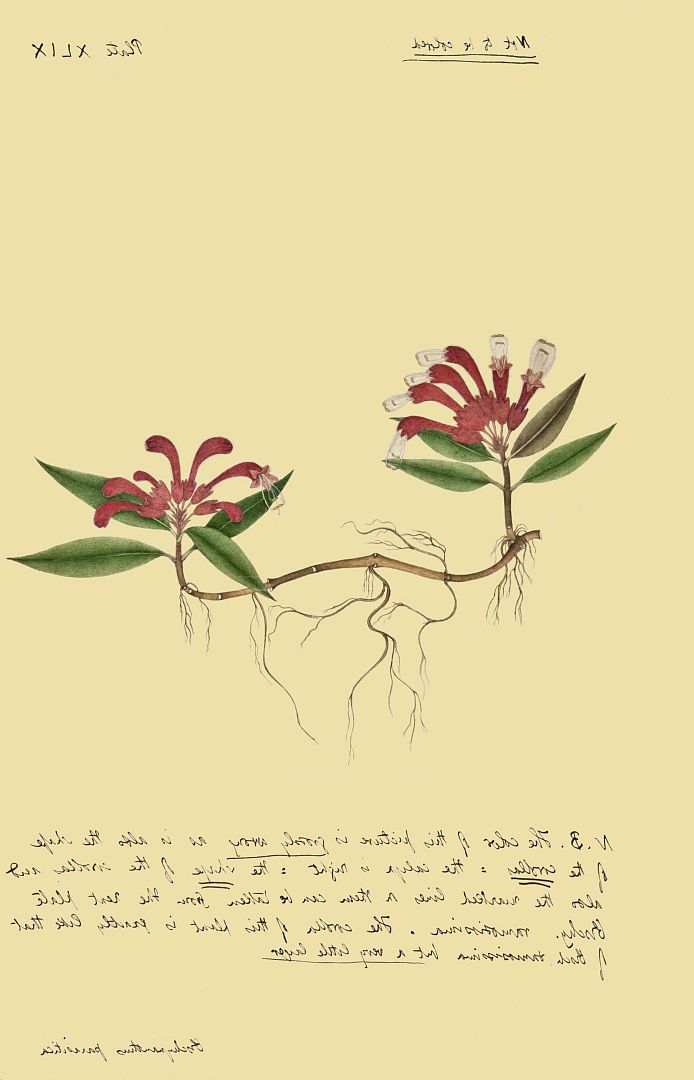no HD illustration available (3)