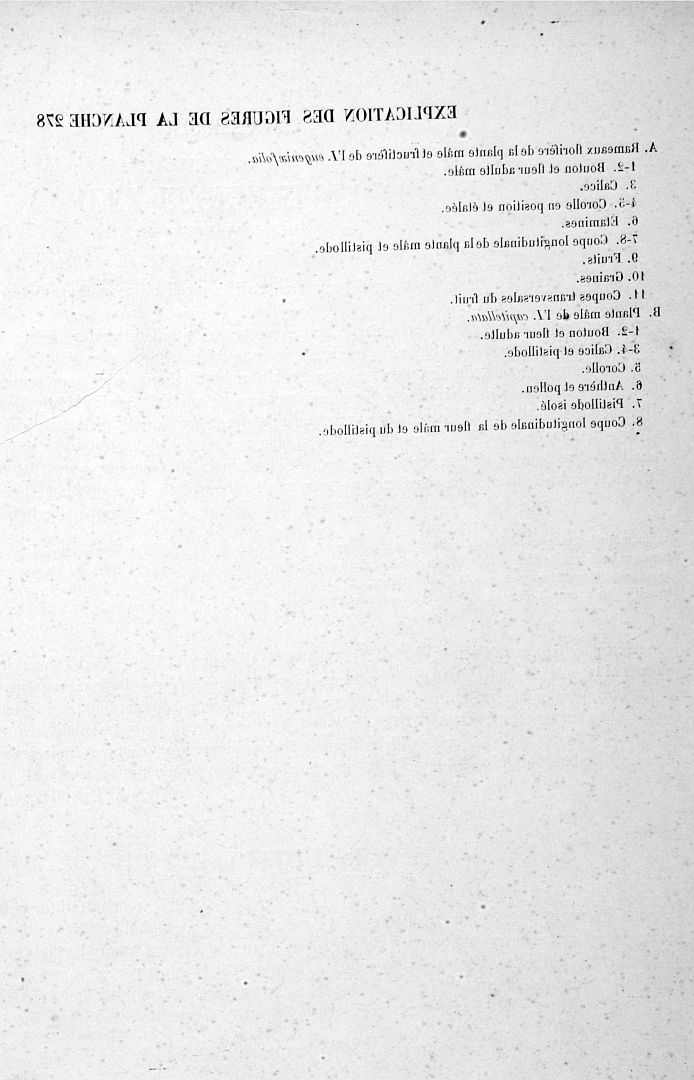 no HD illustration available (3)