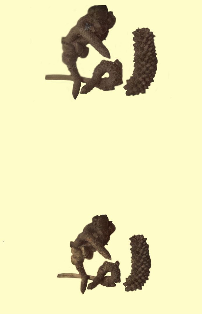 no HD illustration available (3)