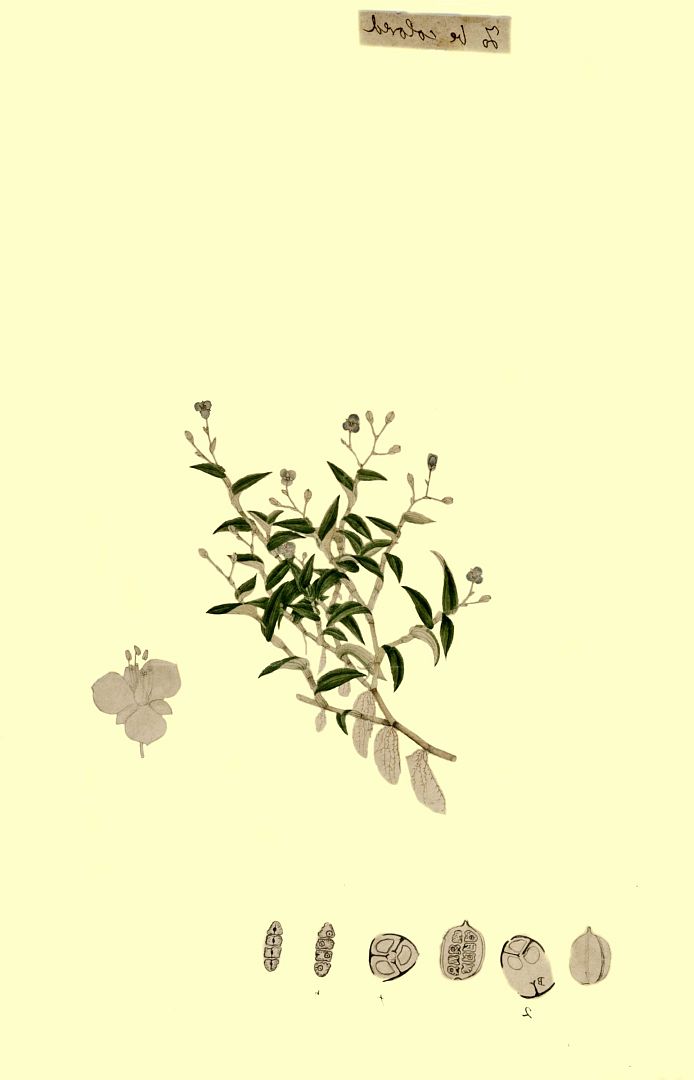 no HD illustration available (3)