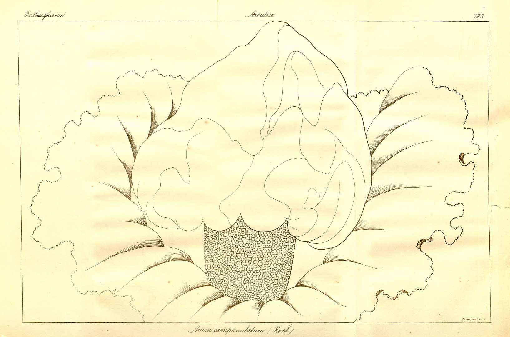no HD illustration available (3)
