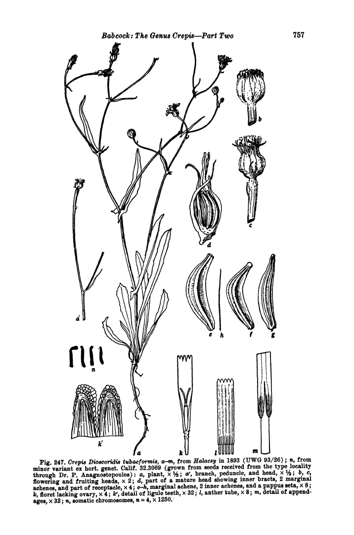 no HD illustration available (3)