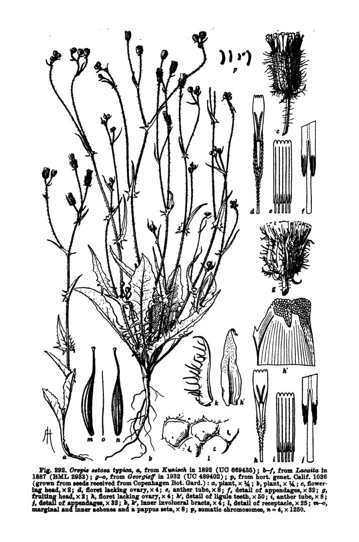 no HD illustration available (3)