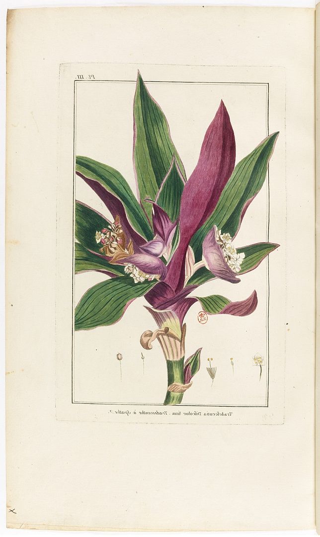 no HD illustration available (3)