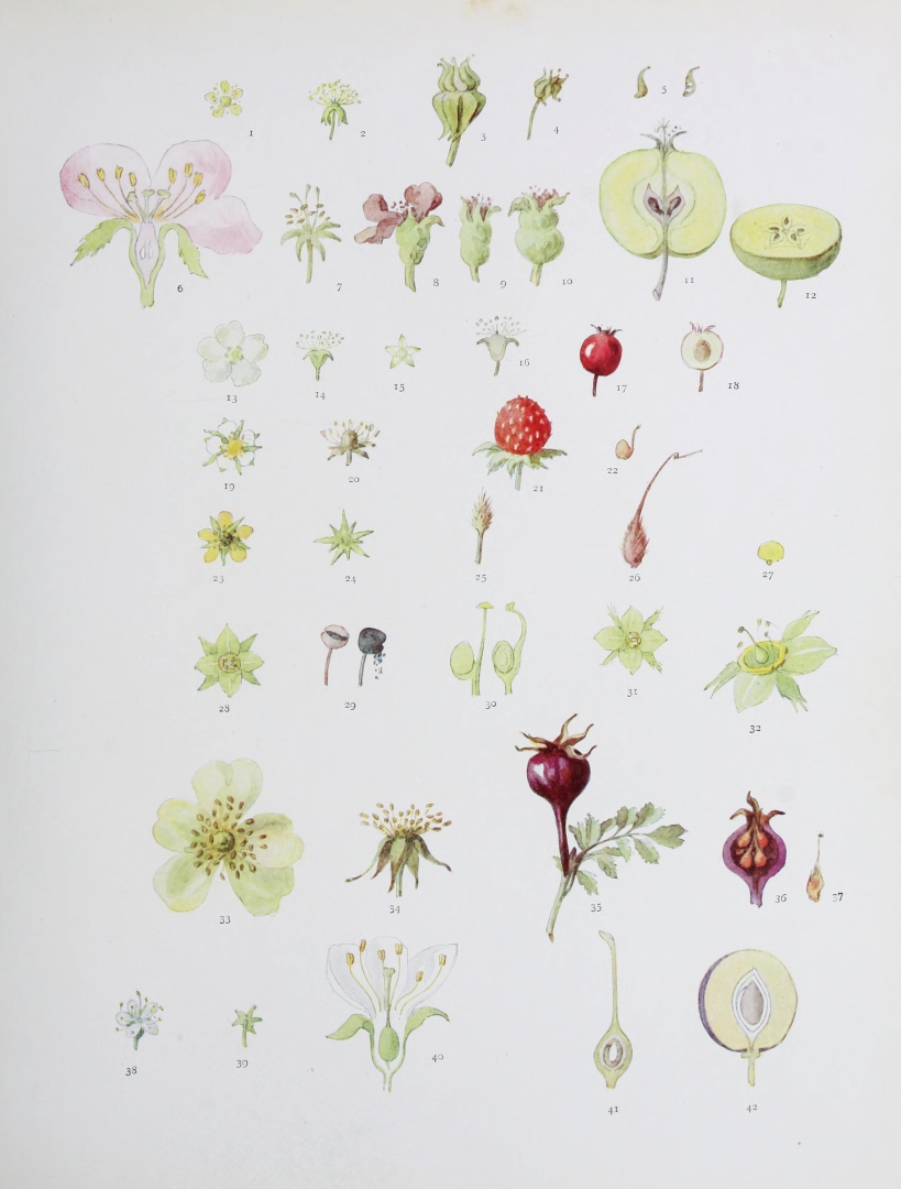 no HD illustration available (3)
