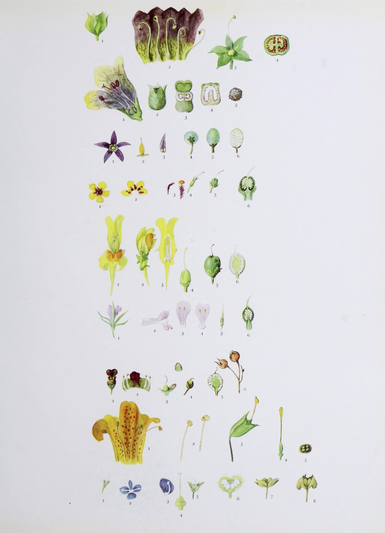 no HD illustration available (3)