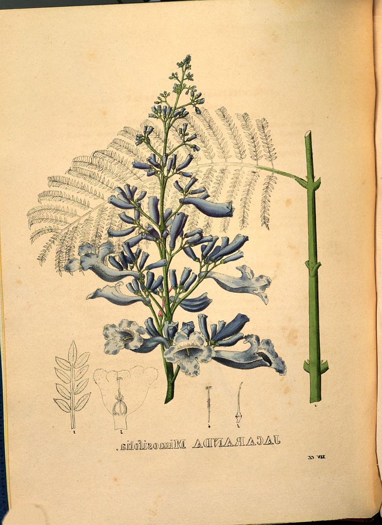 no HD illustration available (3)