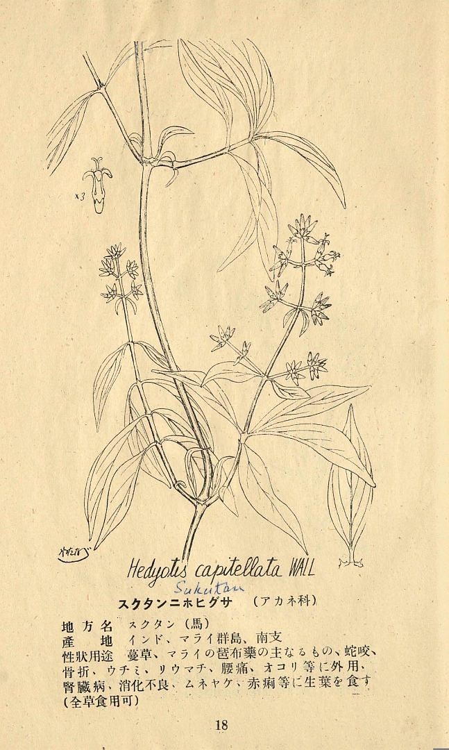 no HD illustration available (3)