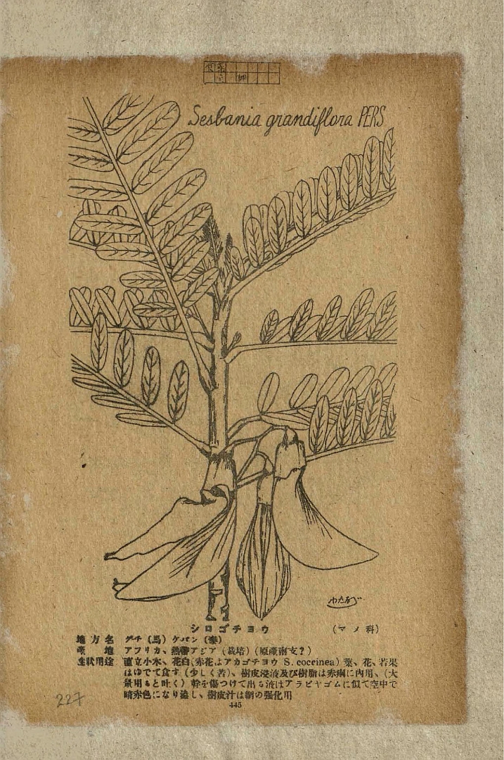 no HD illustration available (3)