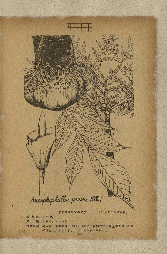 no HD illustration available (3)
