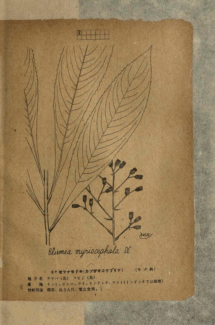 no HD illustration available (3)