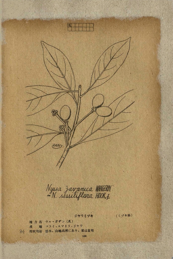 no HD illustration available (3)