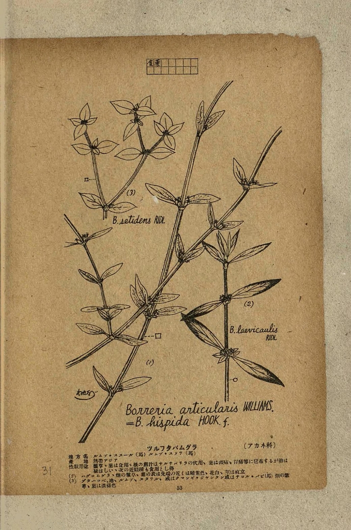 no HD illustration available (3)