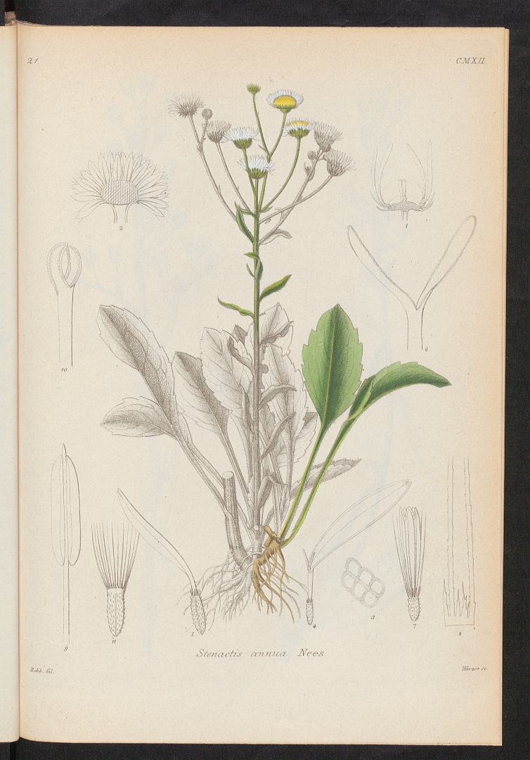 no HD illustration available (3)