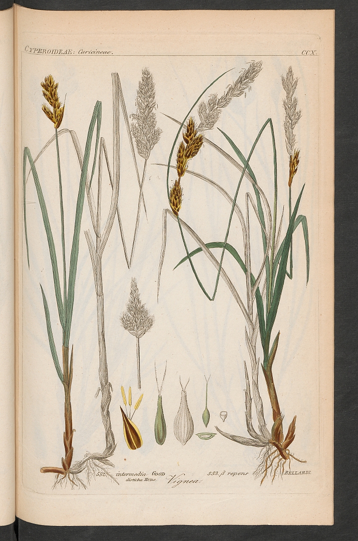 no HD illustration available (3)