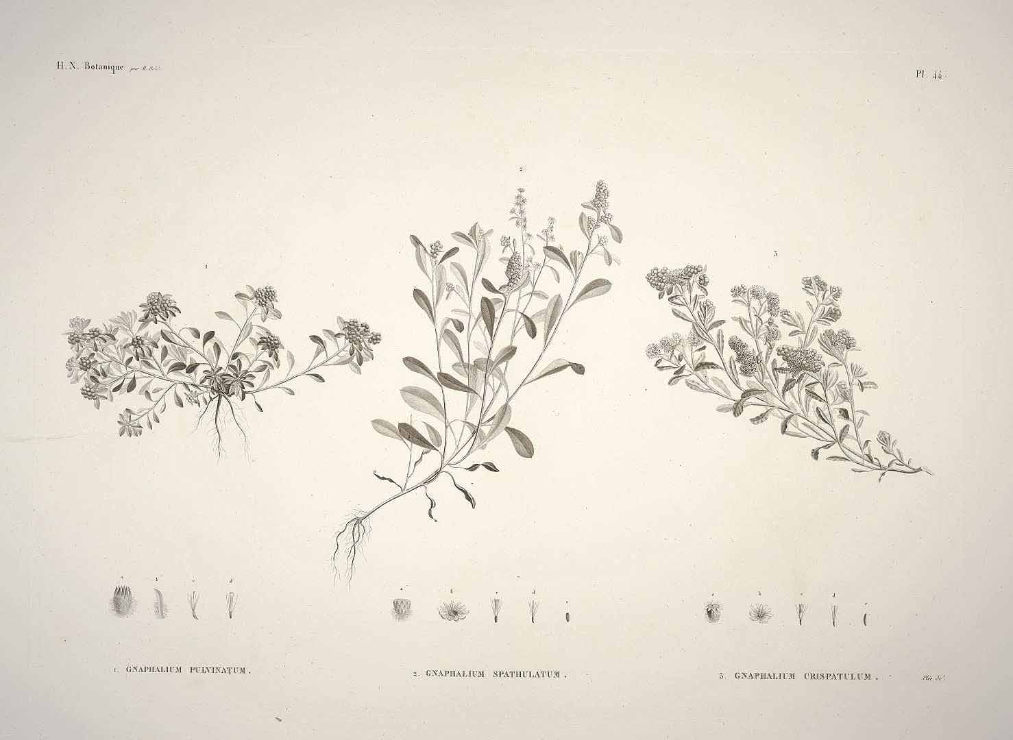 no HD illustration available (3)