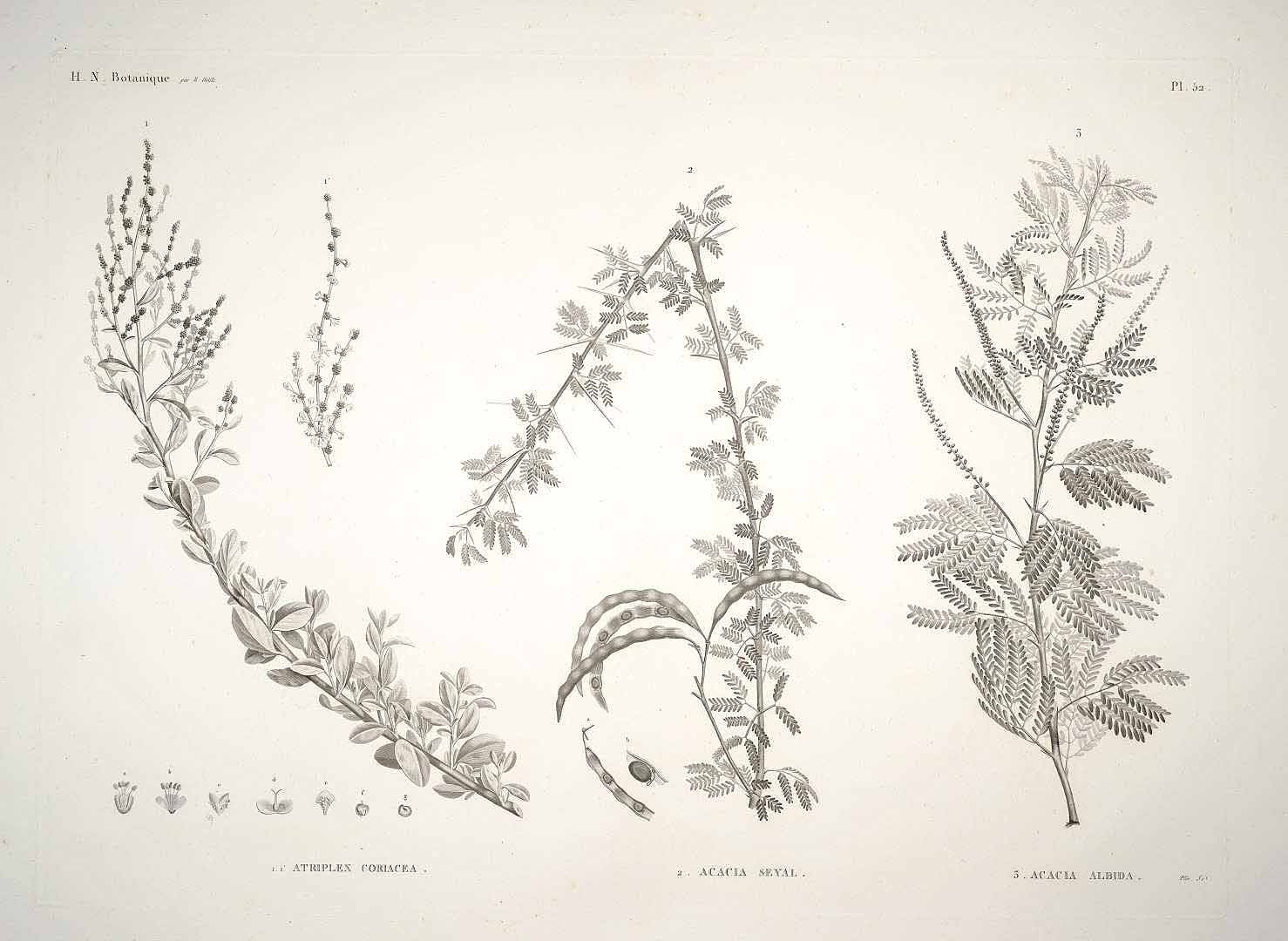 no HD illustration available (3)