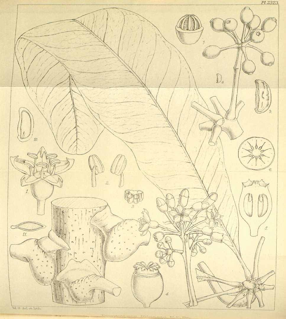 no HD illustration available (3)