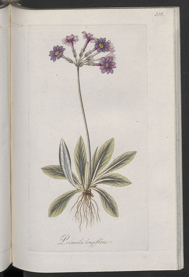 no HD illustration available (3)