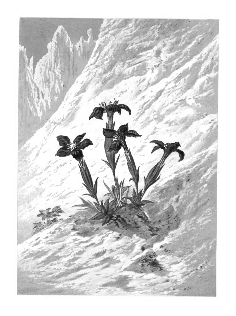 no HD illustration available (3)