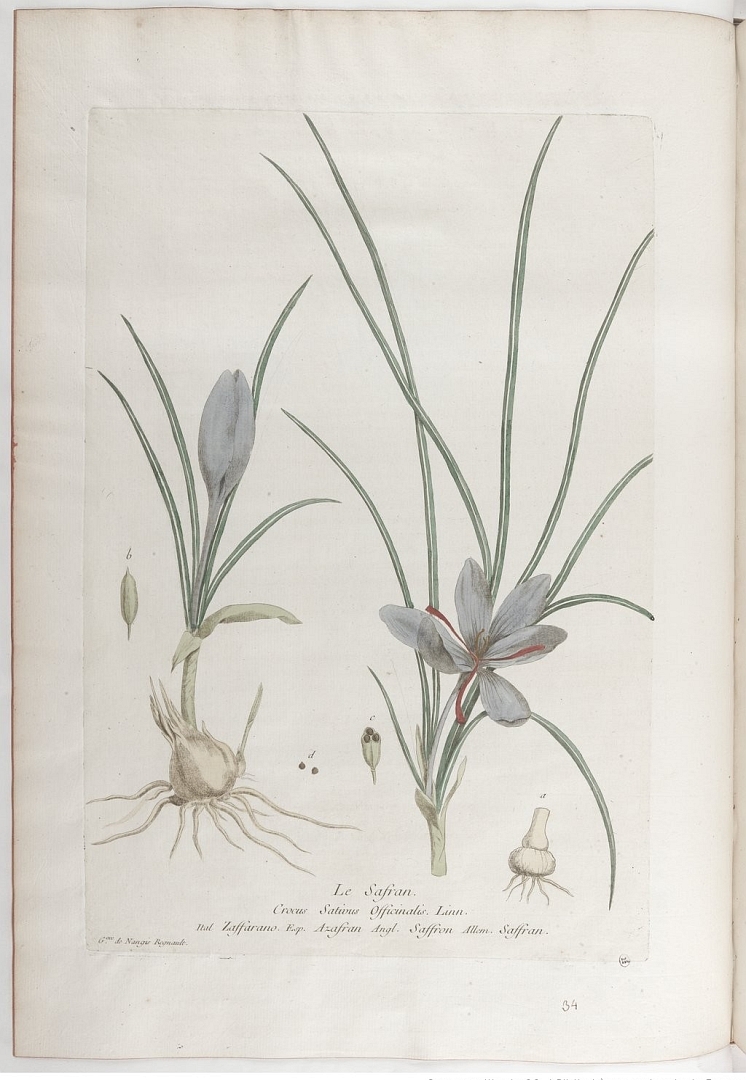no HD illustration available (3)
