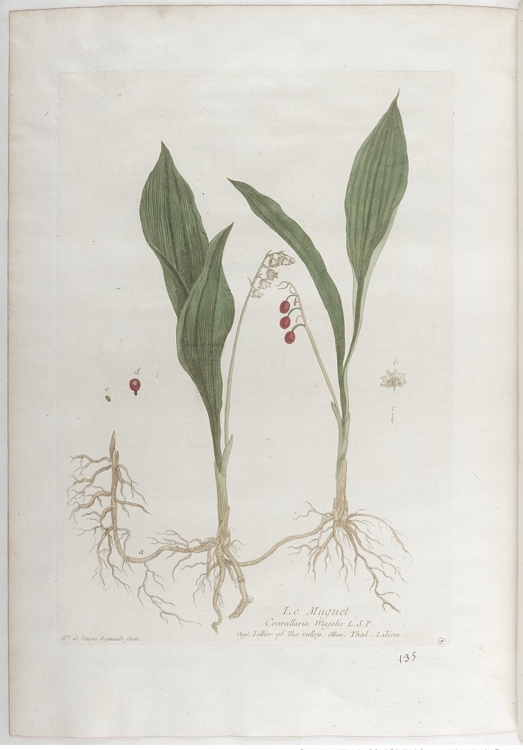 no HD illustration available (3)
