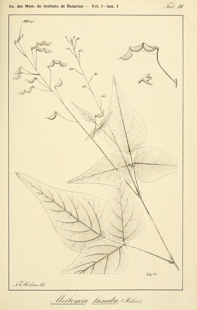 no HD illustration available (3)