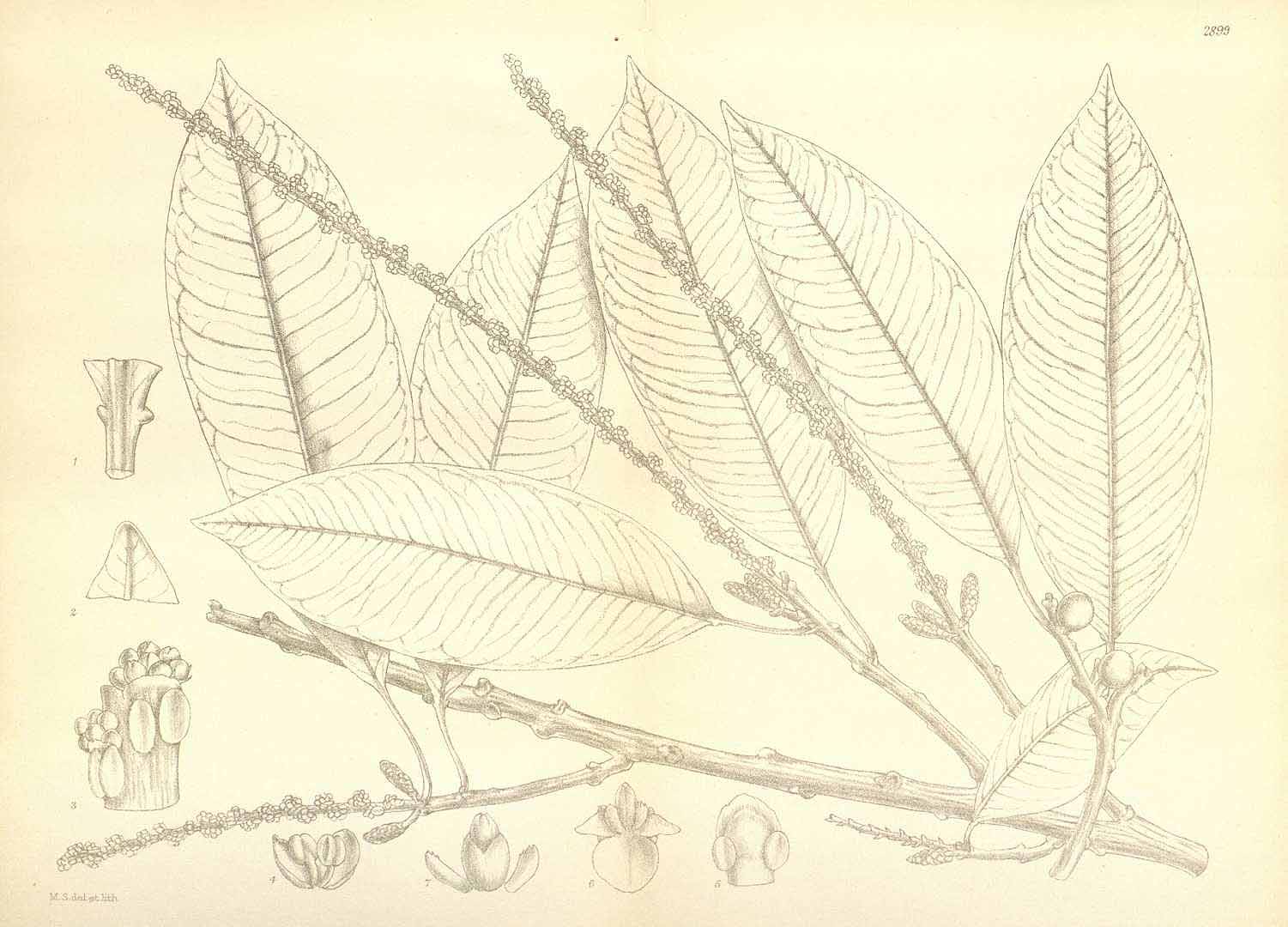 no HD illustration available (3)