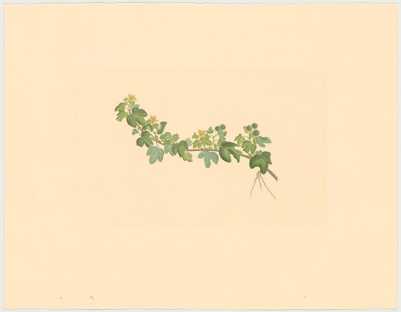 no HD illustration available (3)