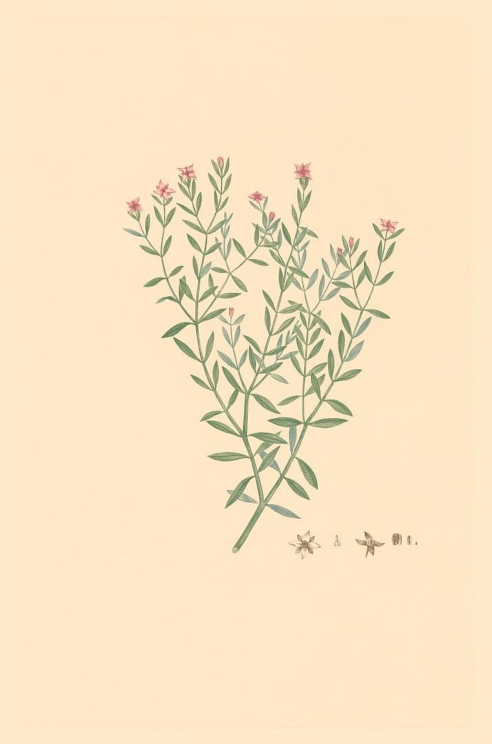 no HD illustration available (3)