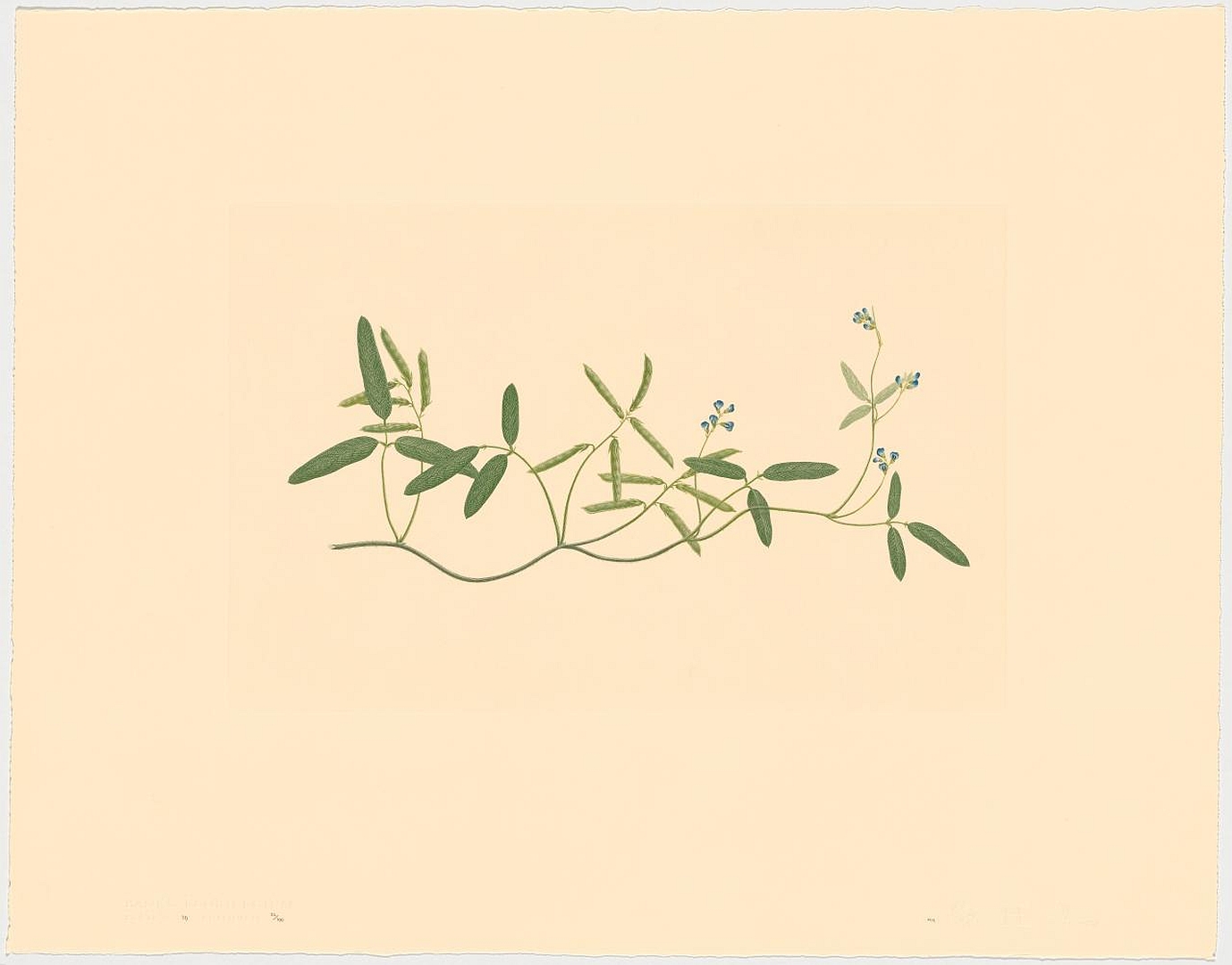 no HD illustration available (3)
