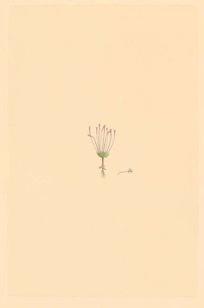 no HD illustration available (3)