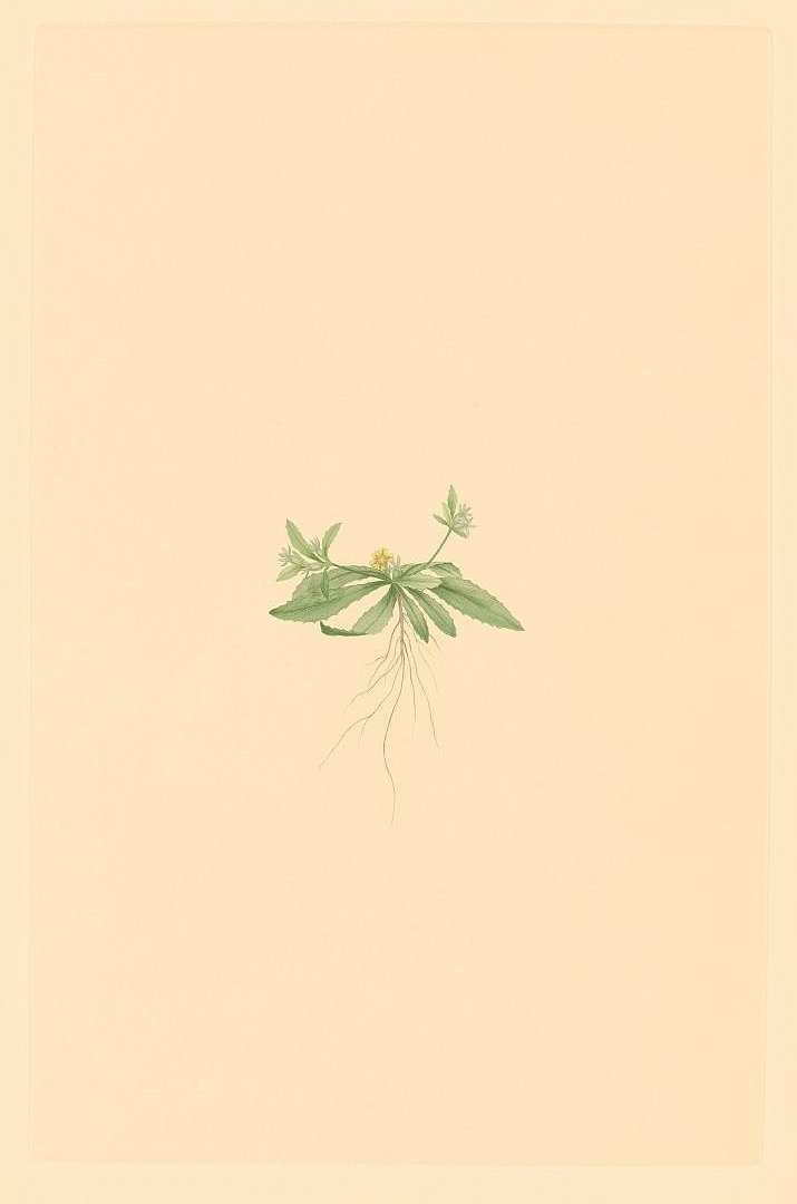 no HD illustration available (3)