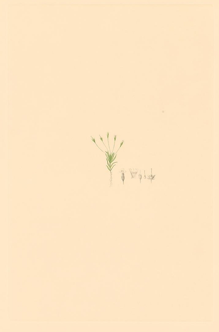 no HD illustration available (3)