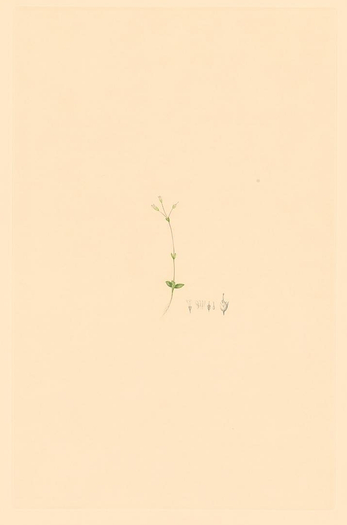 no HD illustration available (3)