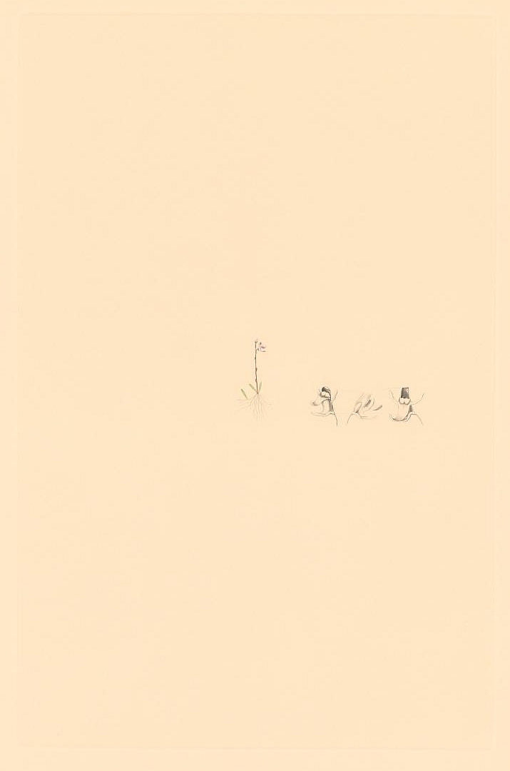 no HD illustration available (3)