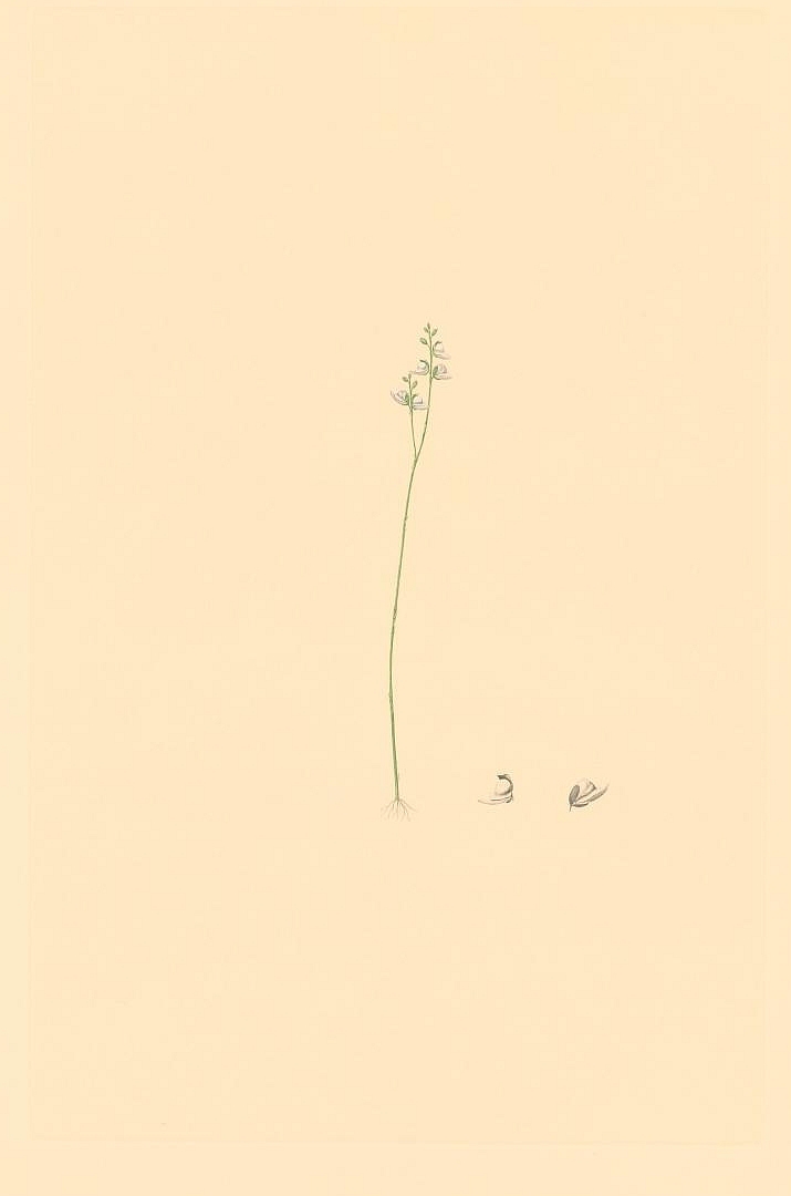 no HD illustration available (3)