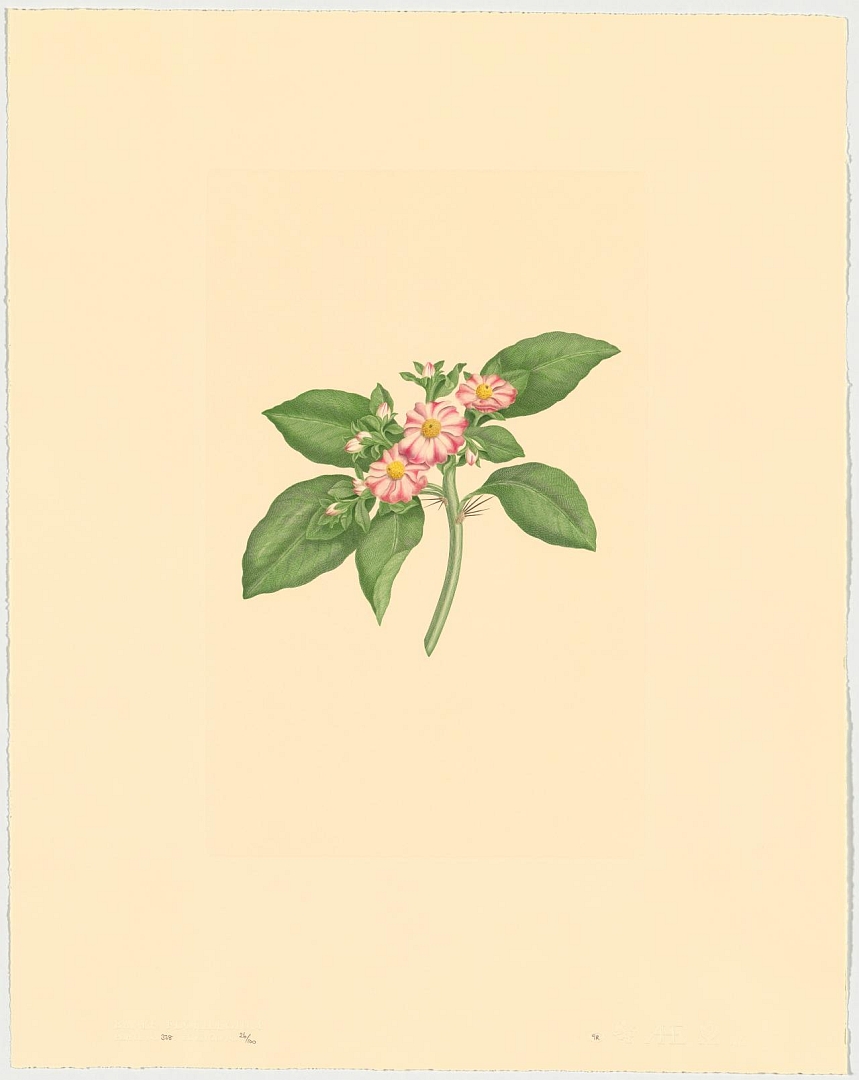 no HD illustration available (3)