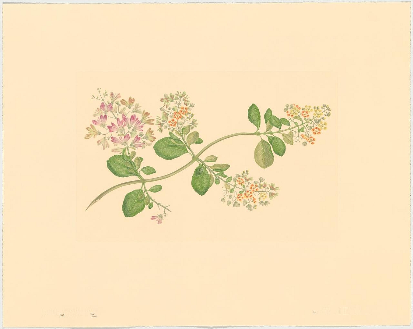 no HD illustration available (3)