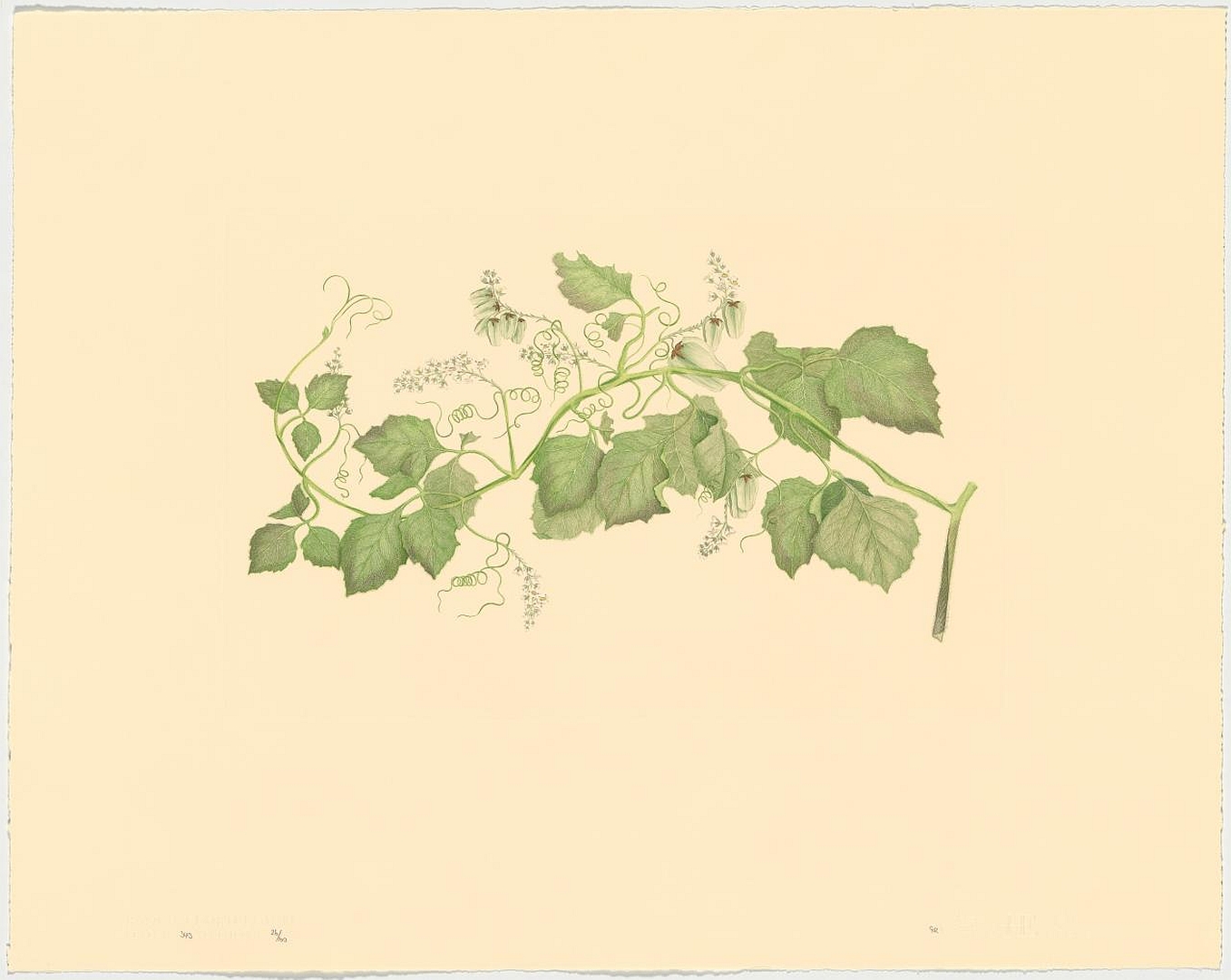 no HD illustration available (3)