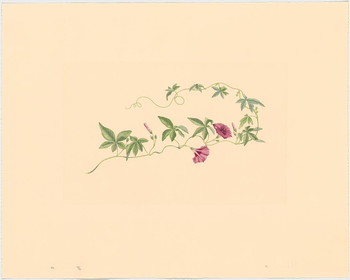 no HD illustration available (3)