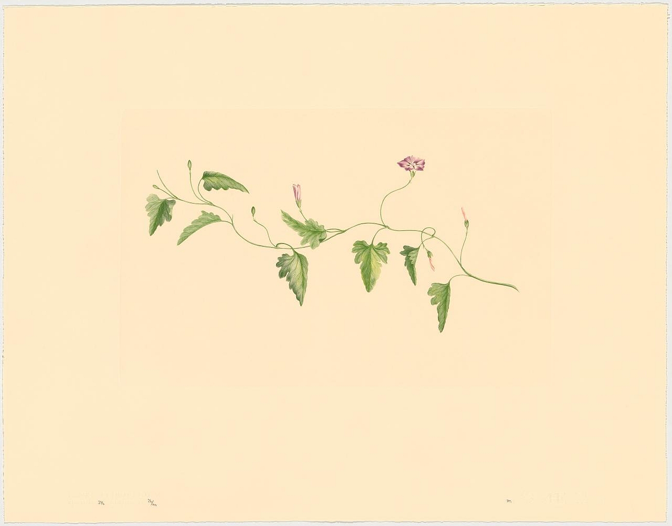 no HD illustration available (3)