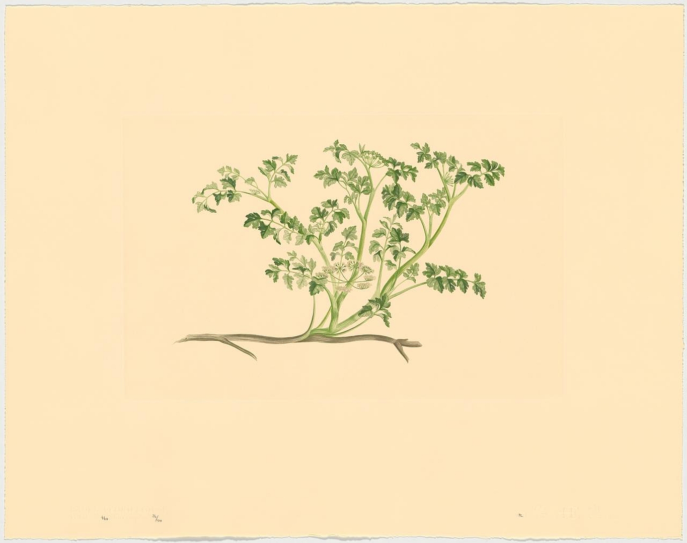 no HD illustration available (3)