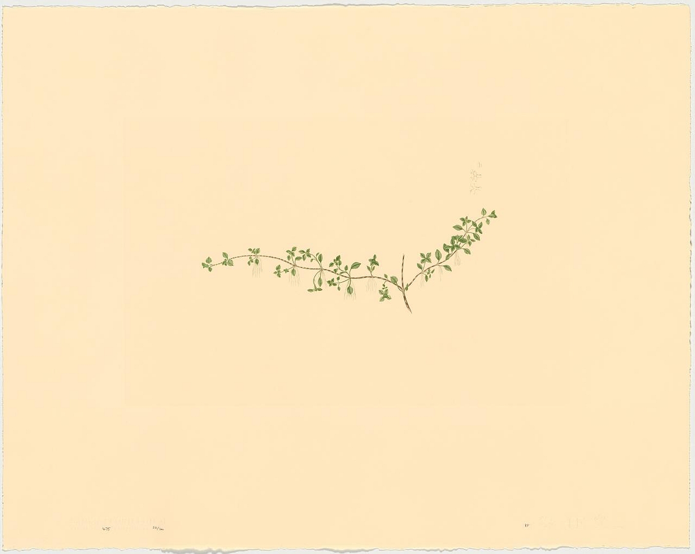 no HD illustration available (3)