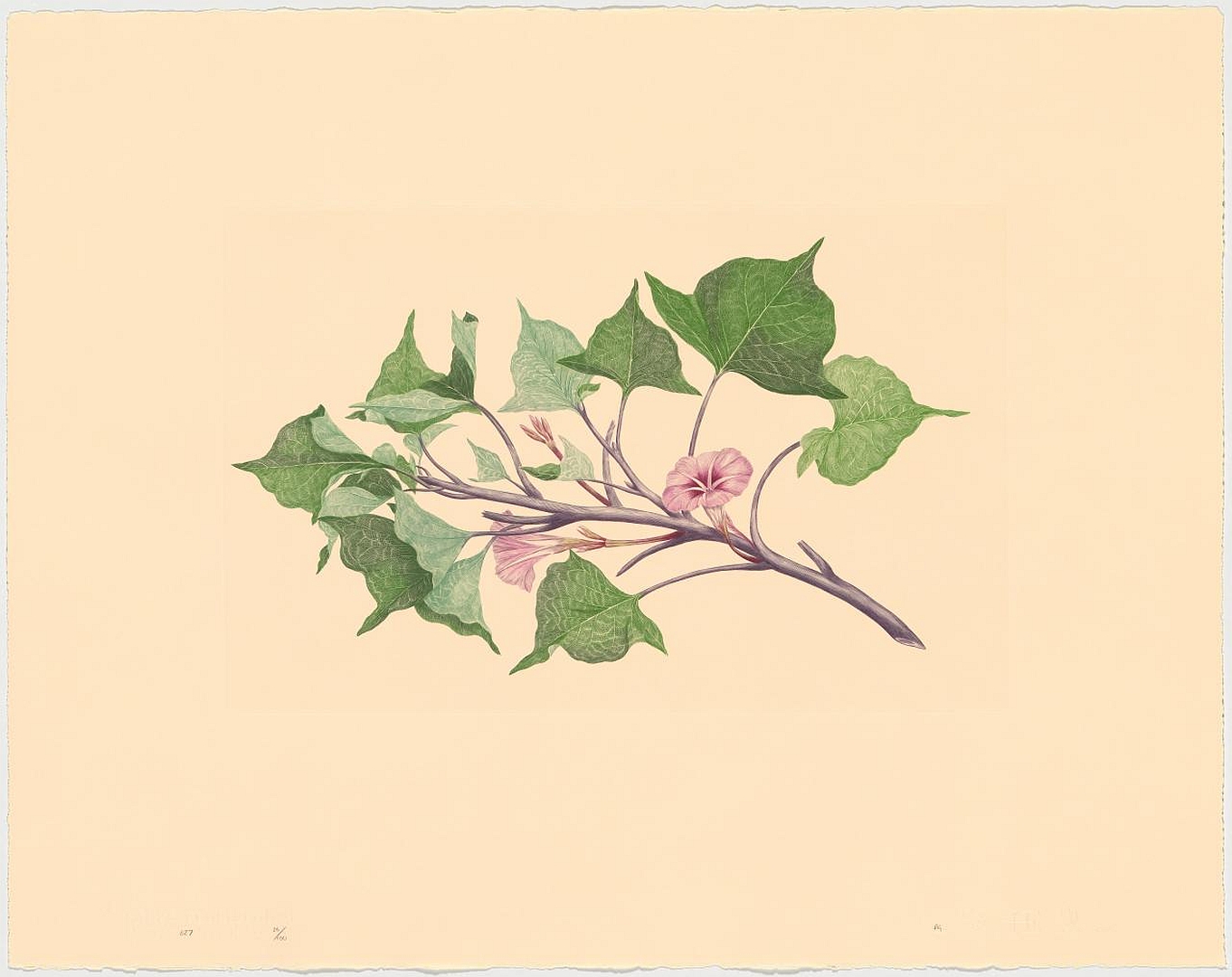 no HD illustration available (3)
