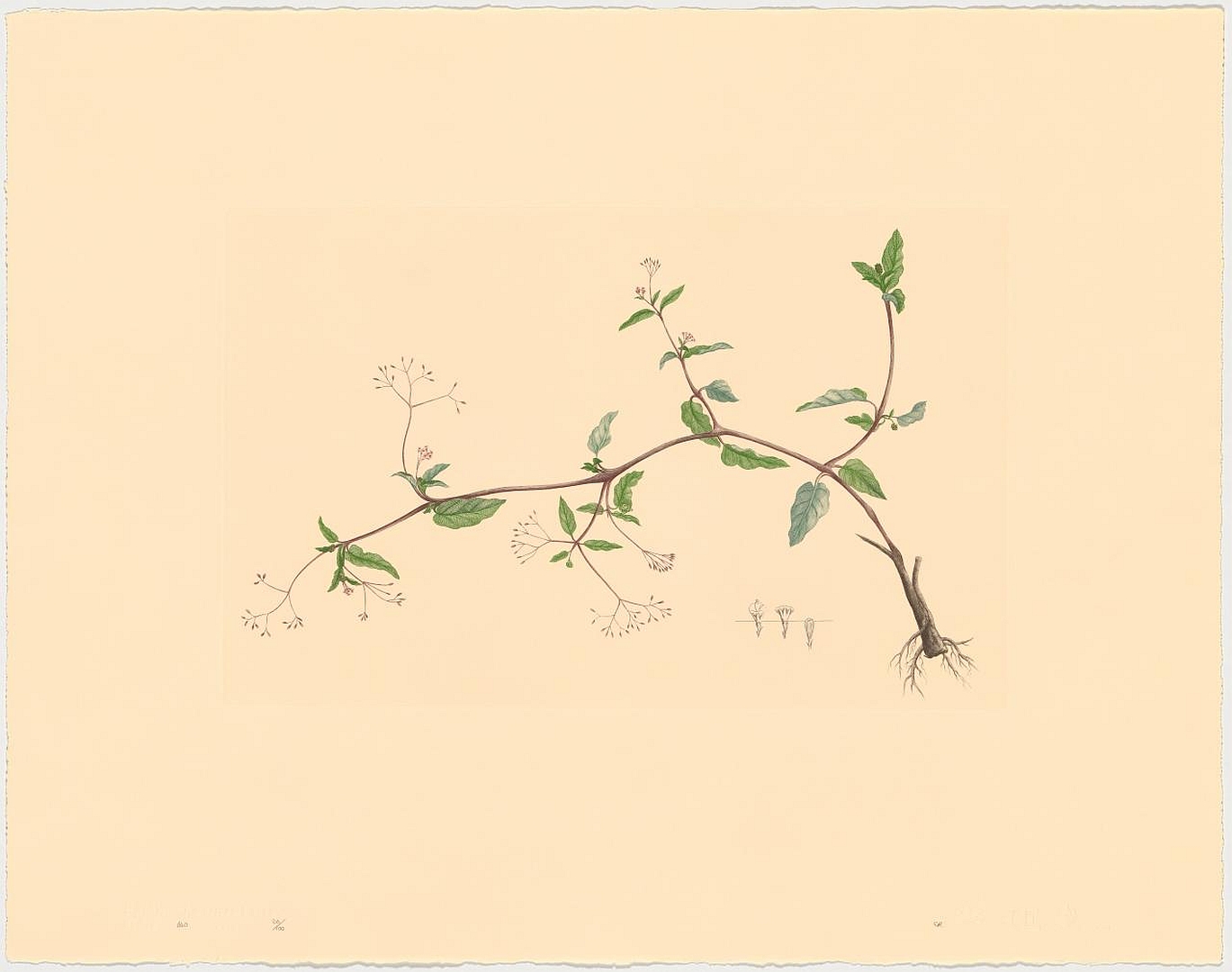 no HD illustration available (3)