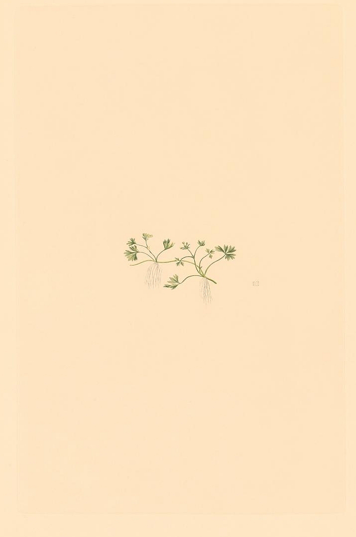 no HD illustration available (3)