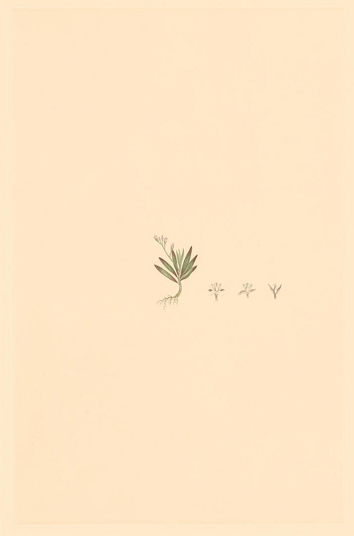 no HD illustration available (3)