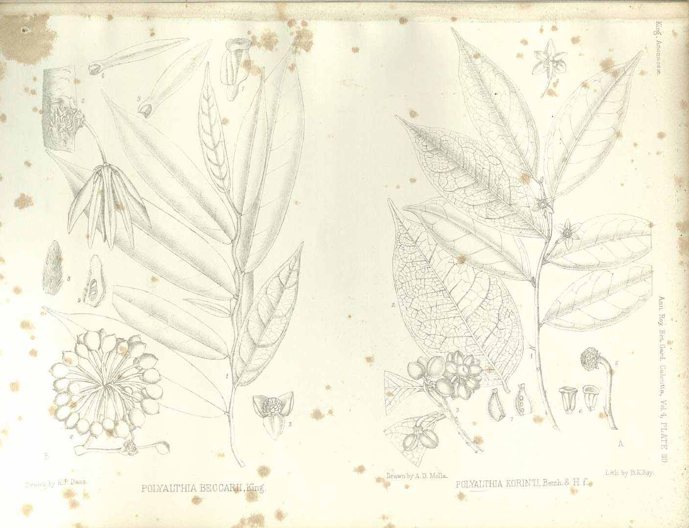 no HD illustration available (3)